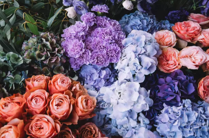<p>Fleuriste, Thiais</p>
